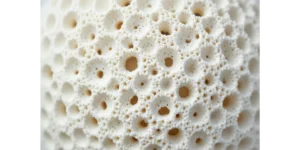 Polyurthane foam manufacturer